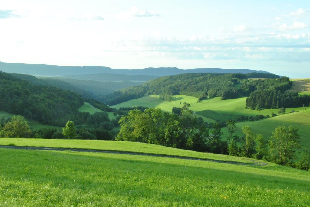 Gasthaus Kranz Lausheim Dış mekan fotoğraf