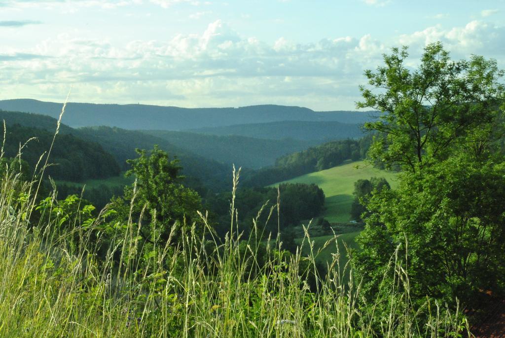 Gasthaus Kranz Lausheim Dış mekan fotoğraf