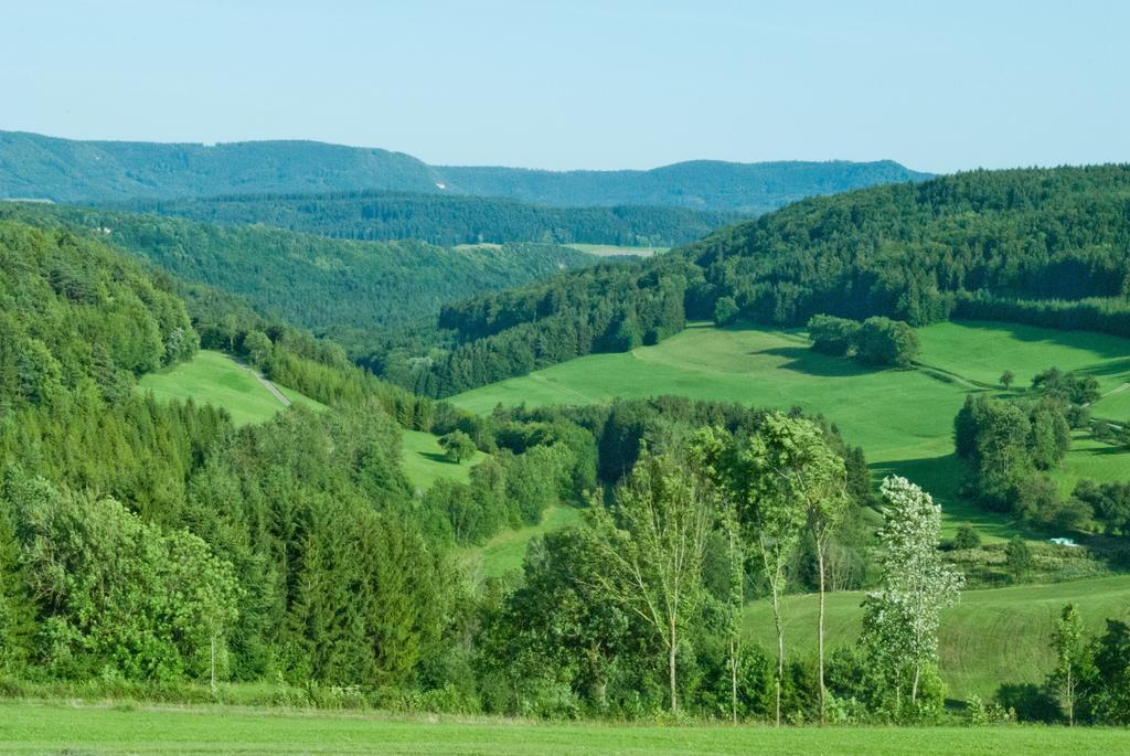 Gasthaus Kranz Lausheim Dış mekan fotoğraf